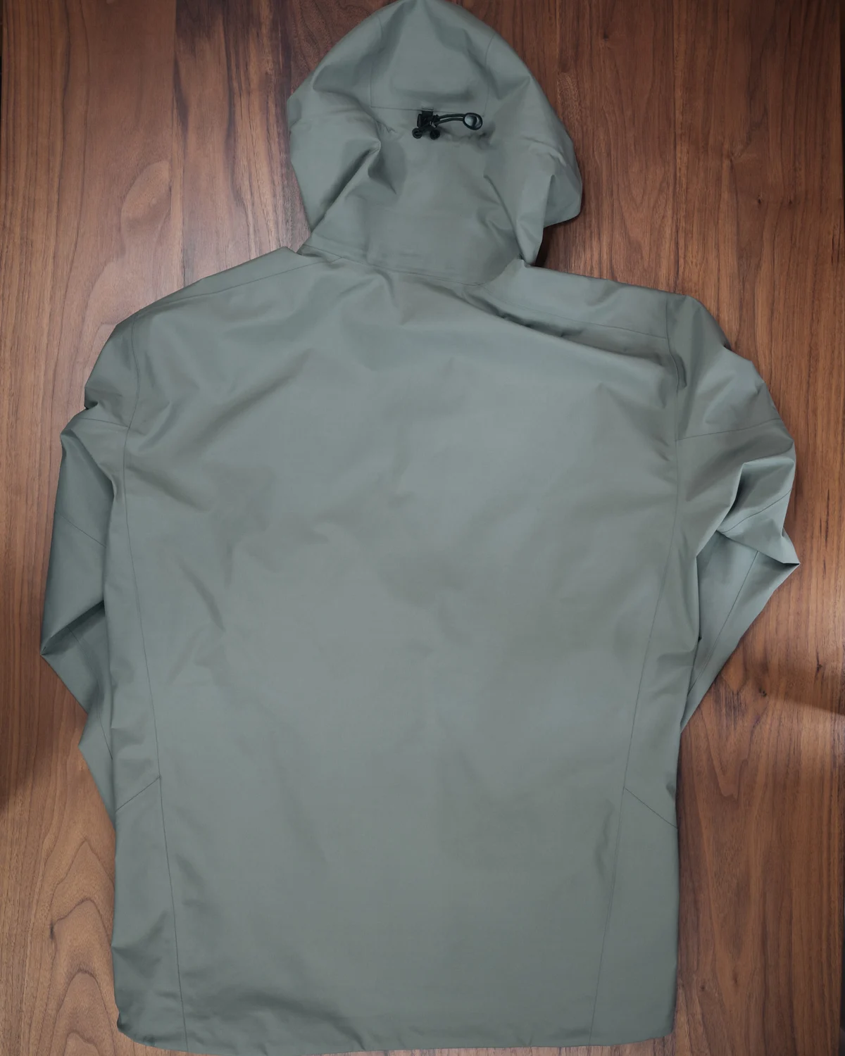 ARC'TERYX ベータジャケット|外観・背面